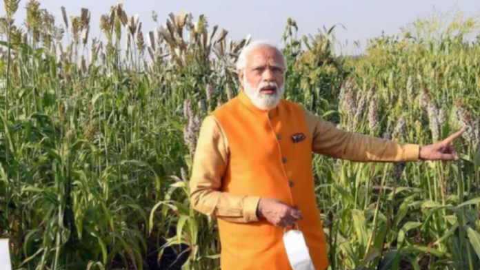 PM धन-धान्य कृषि योजना से ग्रामीण महिलाएँ होंगी सशक्त, ट्रेनिंग से लेकर तकनीक और बाजार तक सीधी पहुँच: आत्मनिर्भर भारत की दिशा में मोदी सरकार का बड़ा कदम