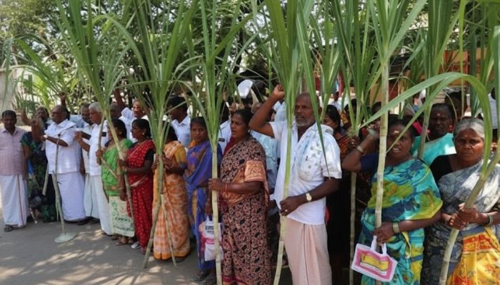 How a 9-day agitation forced the Siddaramaiah govt to raise cane price to Rs 3,300 per tonne
