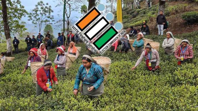 ECI approves use of tea garden employment records for voter verification during SIR in North Bengal